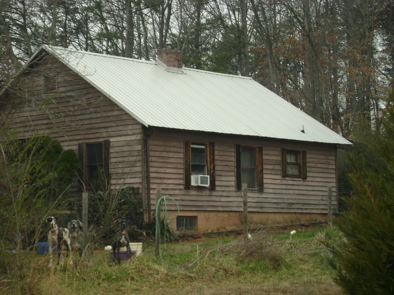 White metal roof on an old wood sided farmhouse, from a Asphalt Shingle Roof Repair job in Godwin